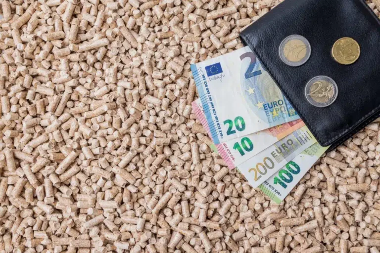 Prix des pellets de bois chez Bricorama : Offres, conseils et comparatif